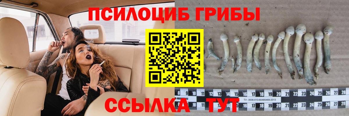 Крымск  Псилоцибиновые грибы Cubensis  Вход с VPN 