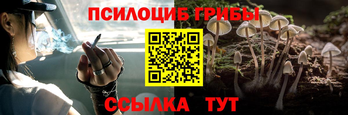 Галлюциногенные грибы прущие грибы Крымск